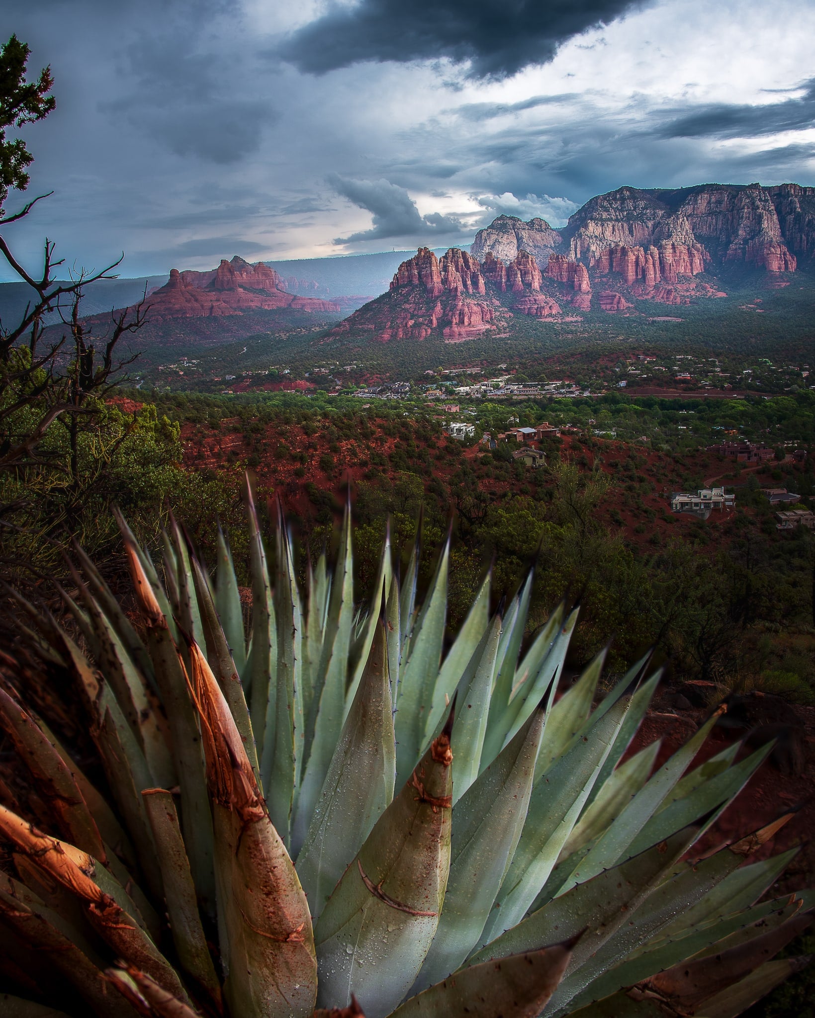 Agave & Storm, Sedona, Arizona. Fine art landscape photograph by Josh Cihak.