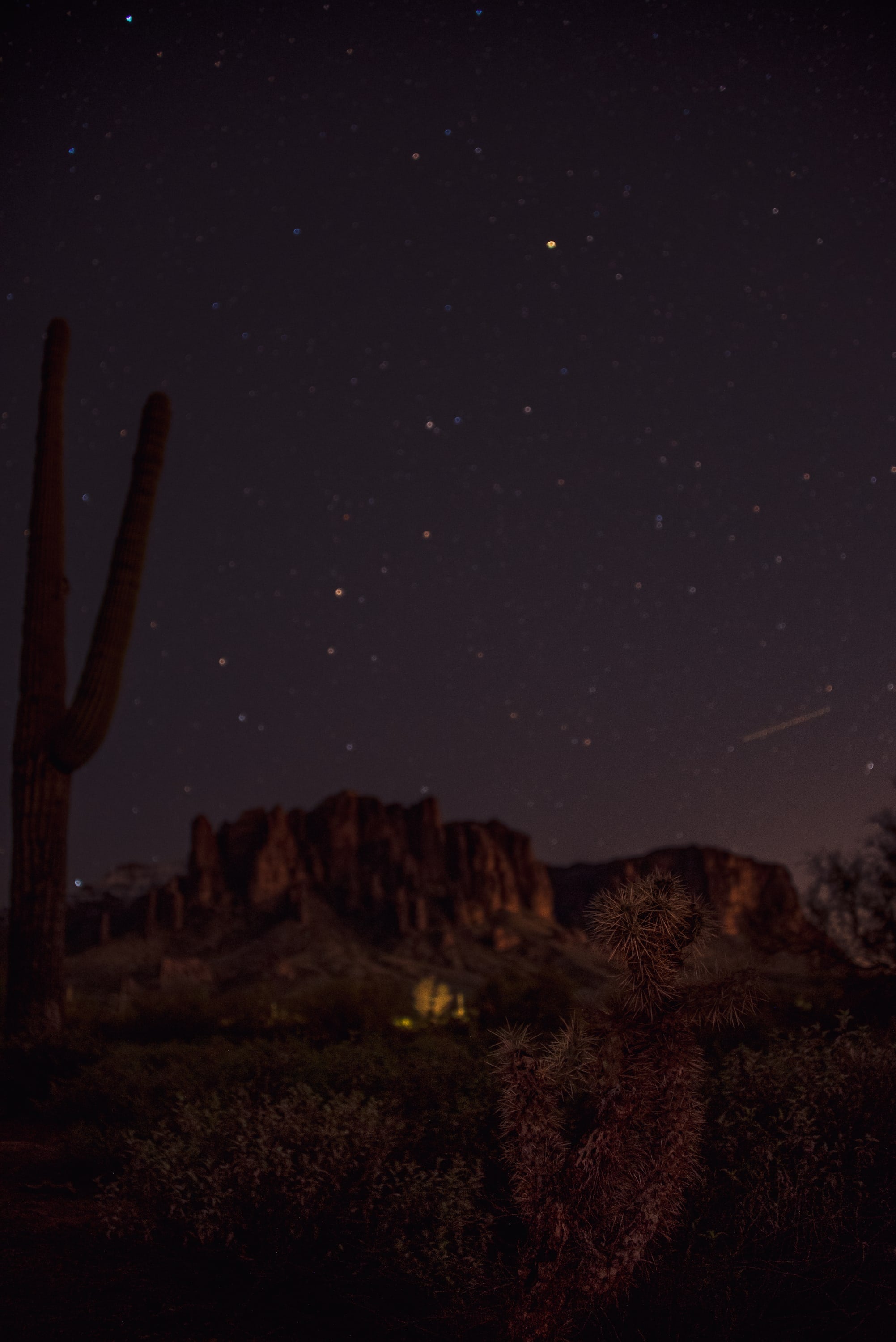 Cholla & Stars, Sonoran Desert, Arizona. Fine art landscape photograph by Josh Cihak.