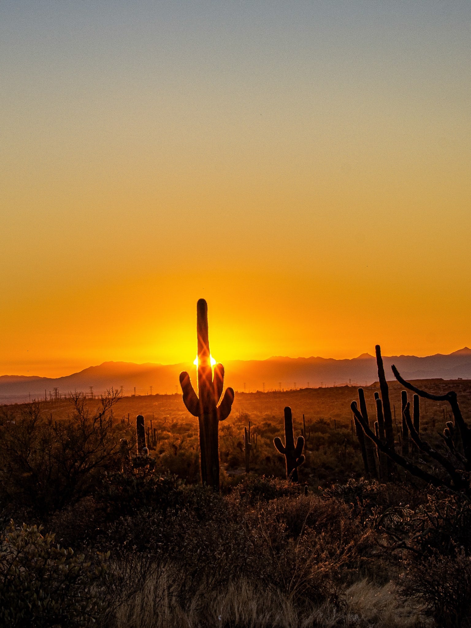 Desert Break, Sonoran Desert, Arizona. Fine art landscape photograph by Josh Cihak.