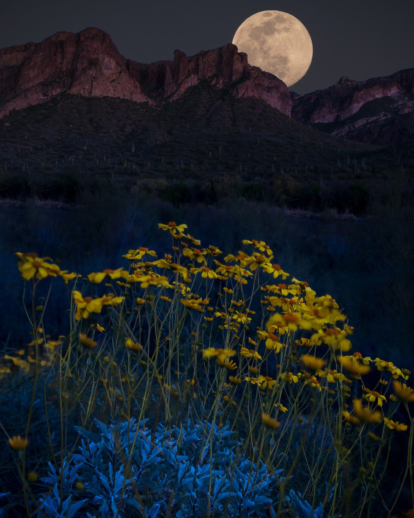 Flower Moon, Superstition Mountains, Arizona. Fine art landscape photograph by Josh Cihak.