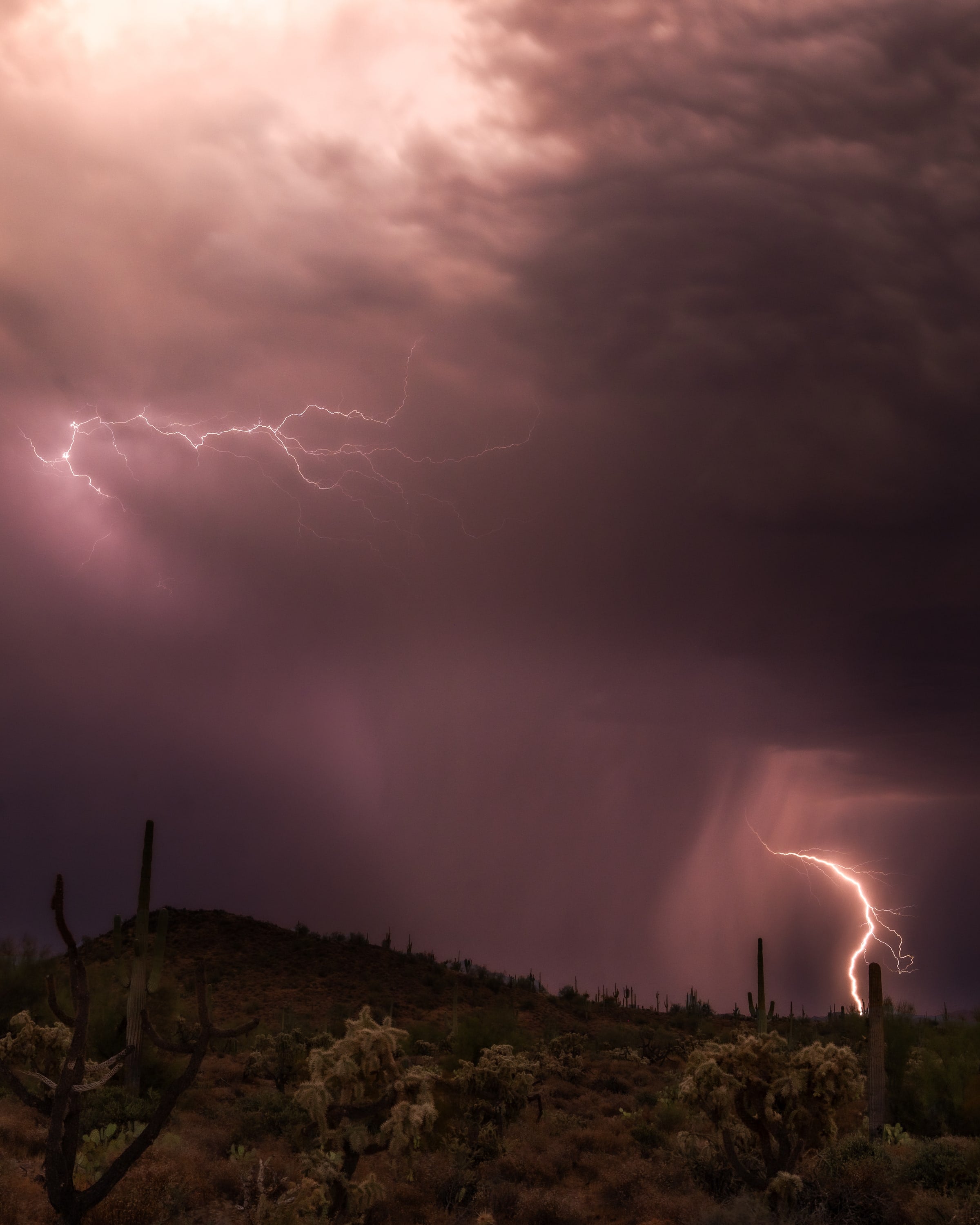 Monsoon Season, Sonoran Desert, Arizona. Fine art landscape photograph by Josh Cihak.