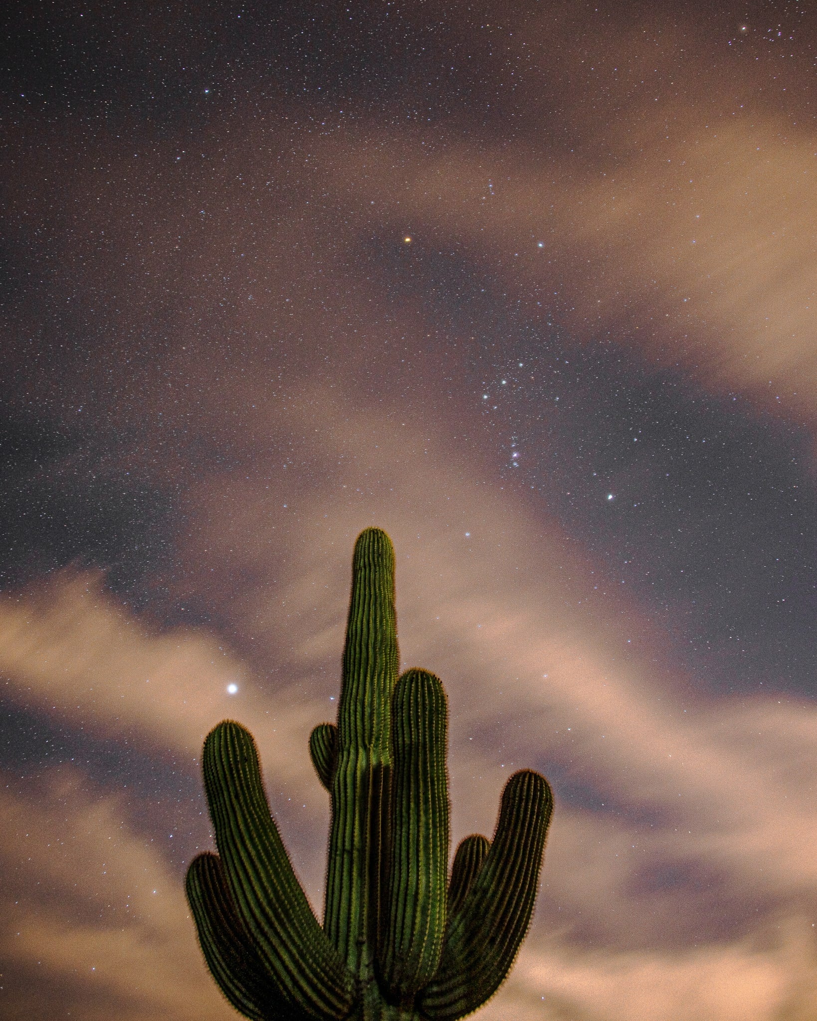 Sentinel, Sonoran Desert, Arizona. Fine art landscape photograph by Josh Cihak.