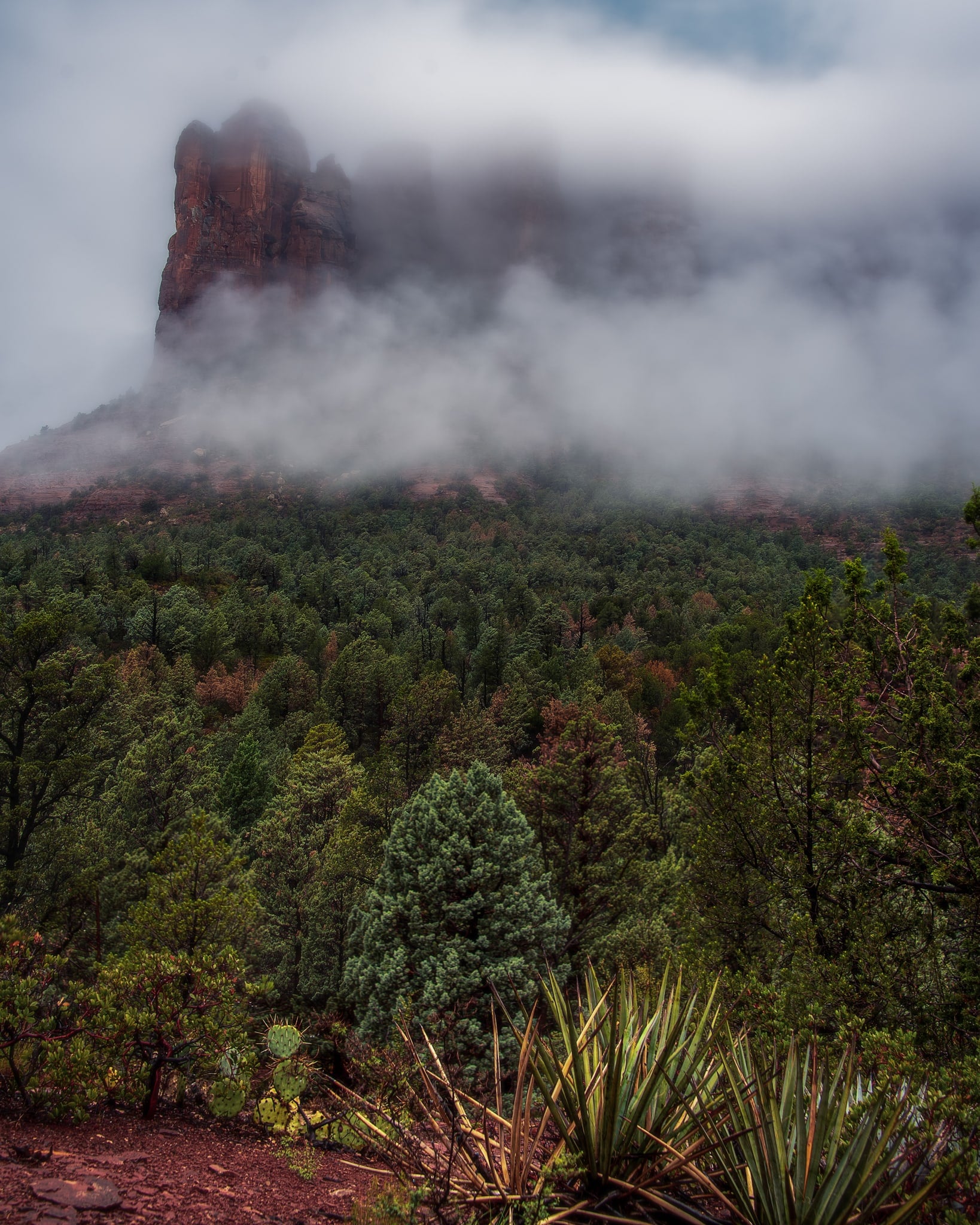 Soldiers Pass, Sedona, Arizona. Fine art landscape photograph by Josh Cihak.