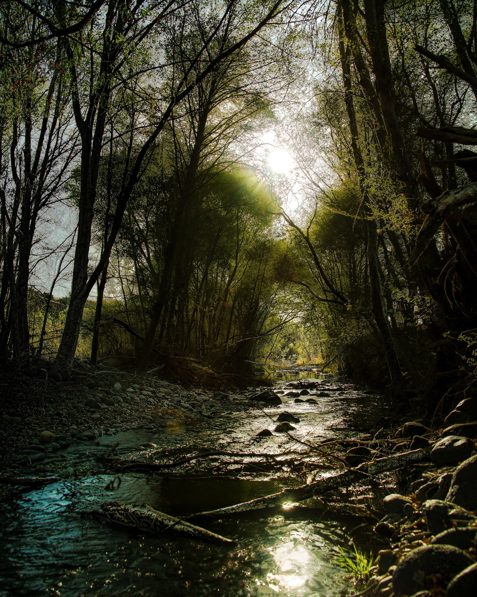 Streamlight, Central Arizona, Arizona. Fine art landscape photograph by Josh Cihak.