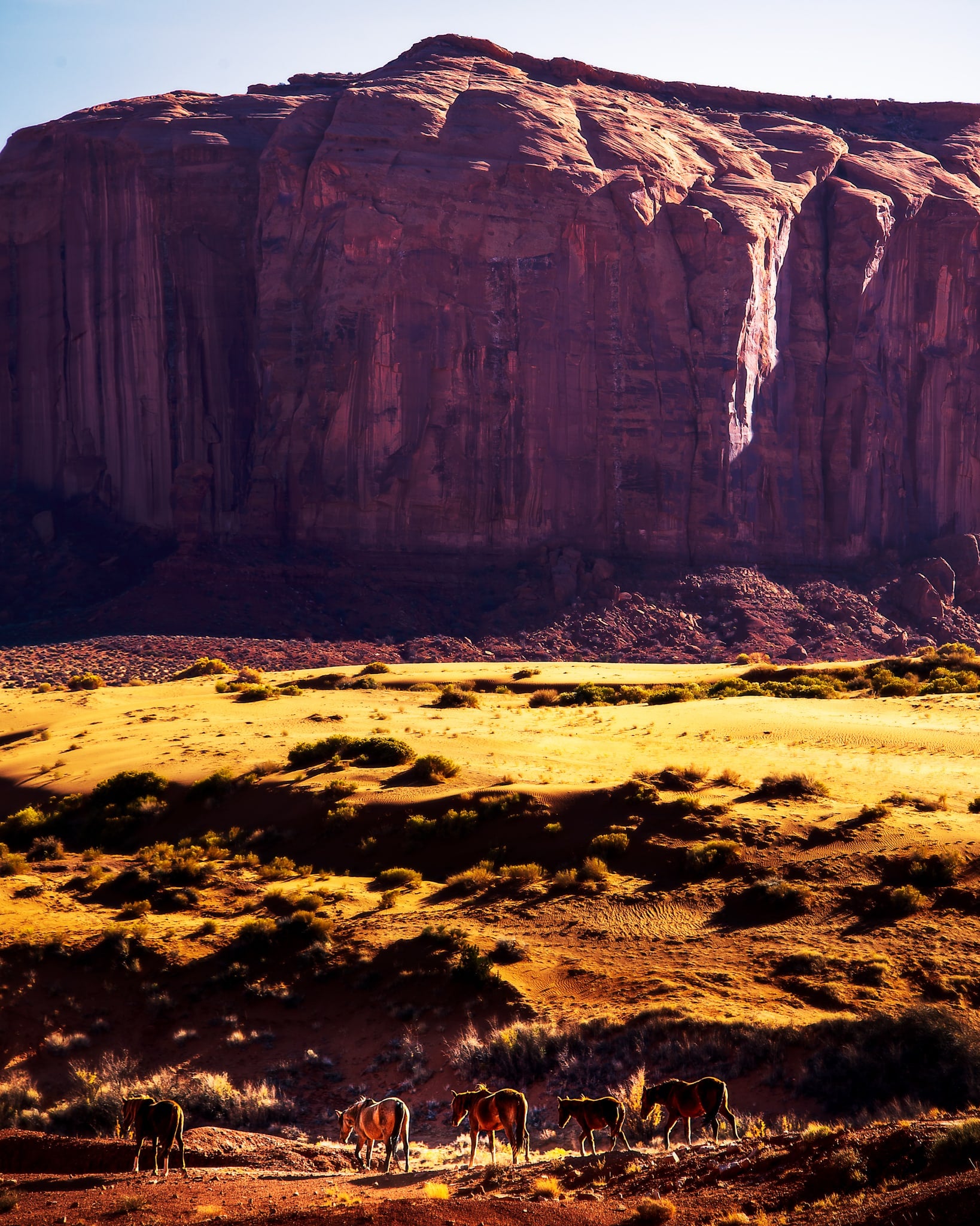 Wild Horses, Monument Valley, Arizona & Utah. Fine art landscape photograph by Josh Cihak.