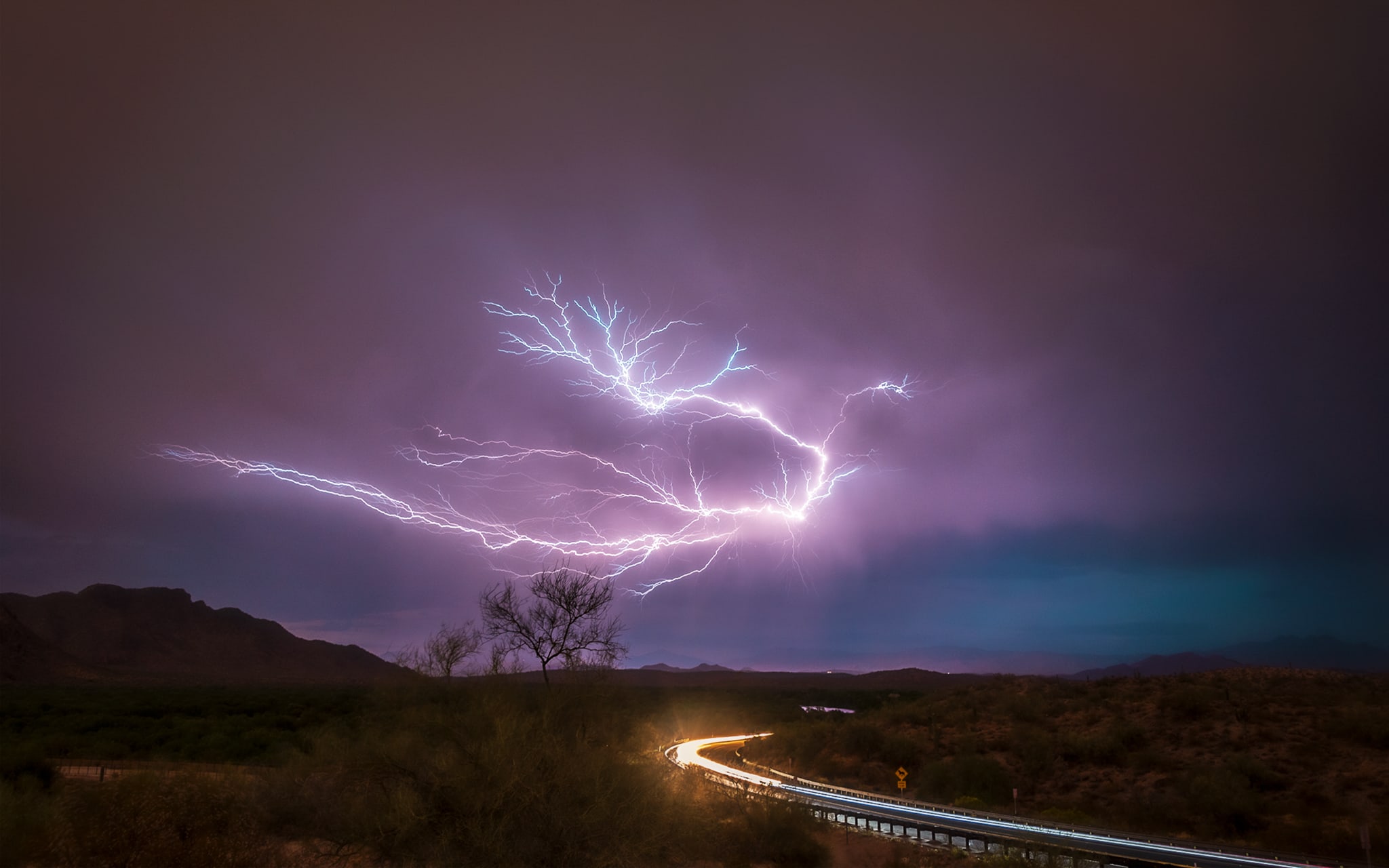 Bolt, Sonoran Desert, Arizona. Fine art landscape photograph by Josh Cihak.