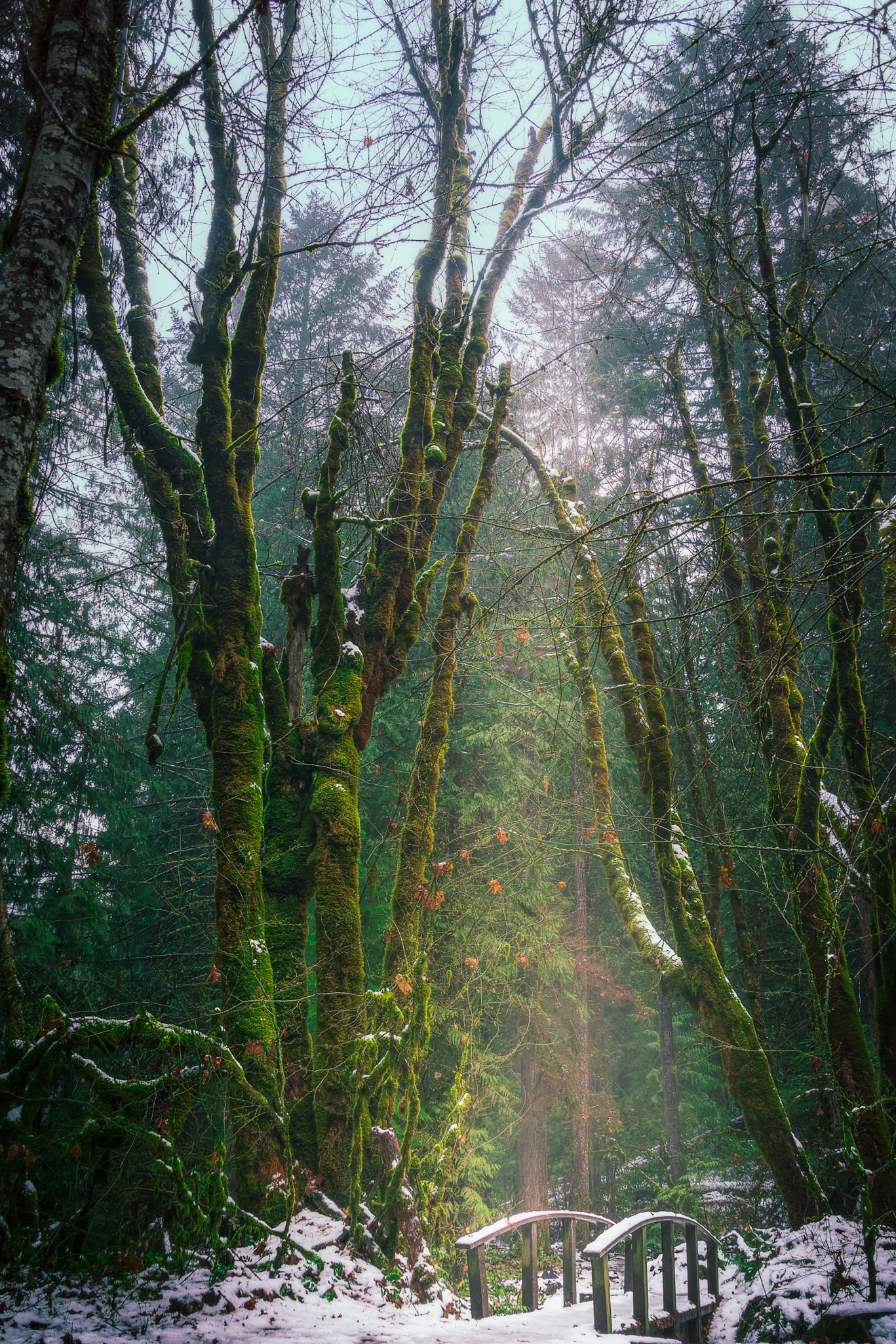 Narnia, Oregon, Oregon. Fine art landscape photograph by Josh Cihak.