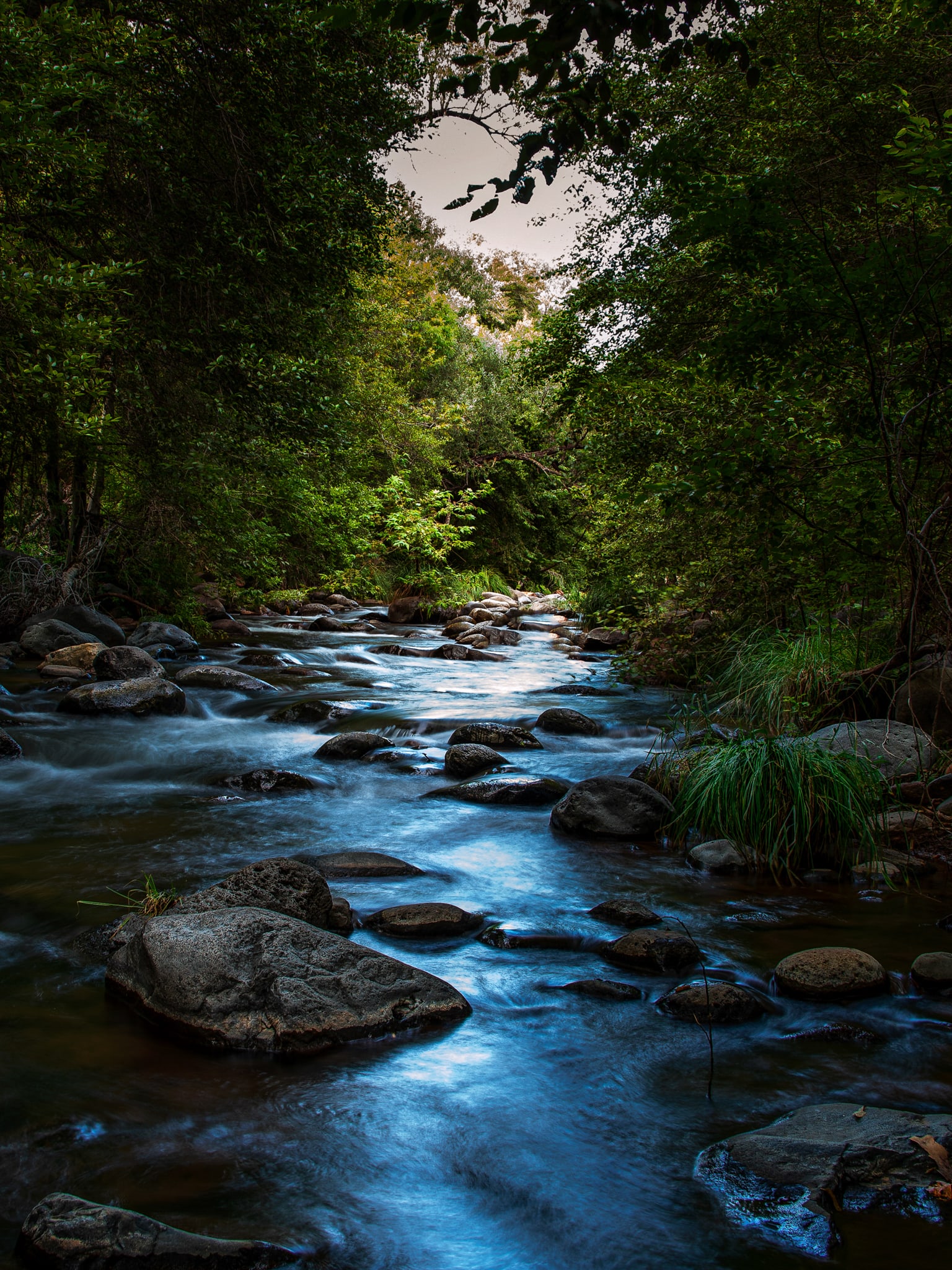 Oak Creek, Oak Creek Canyon, Arizona. Fine art landscape photograph by Josh Cihak.