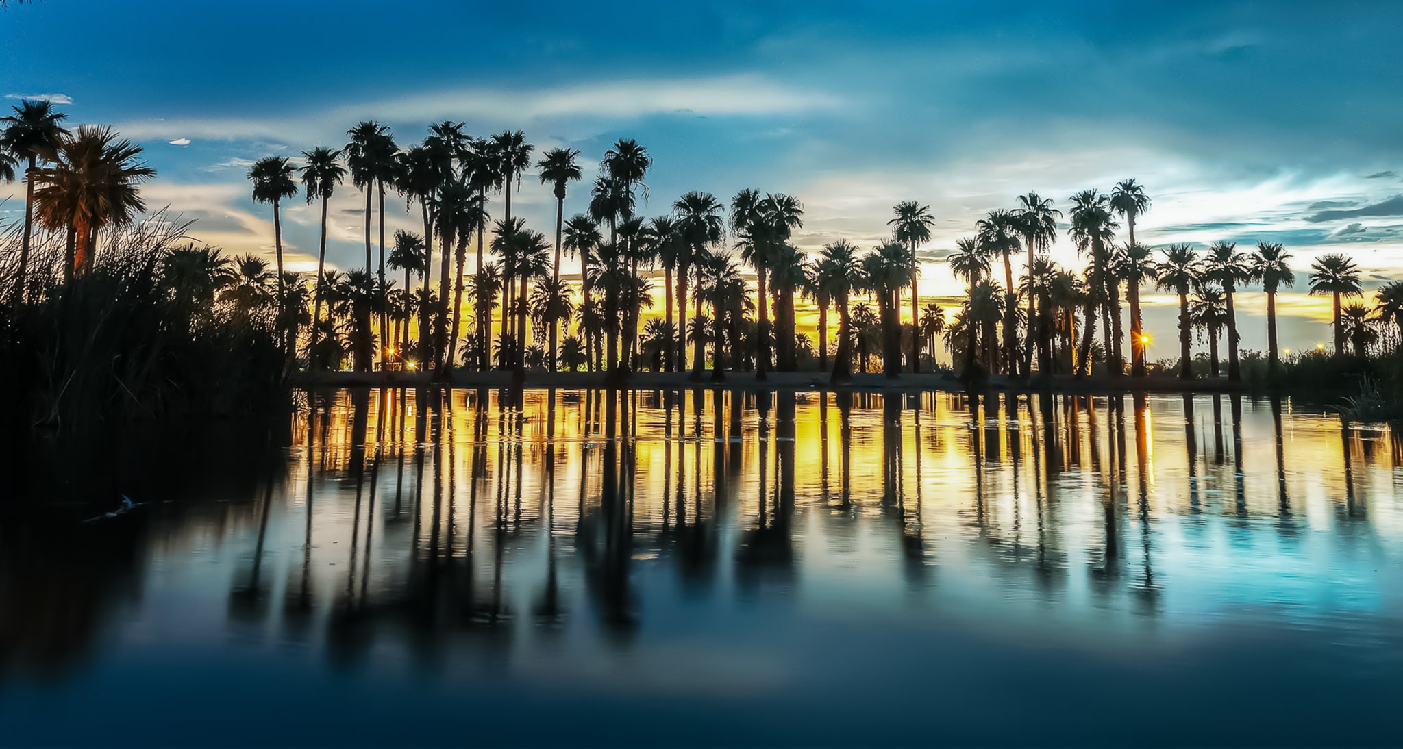 Palm Mirror, Papago Park, Arizona. Fine art landscape photograph by Josh Cihak.