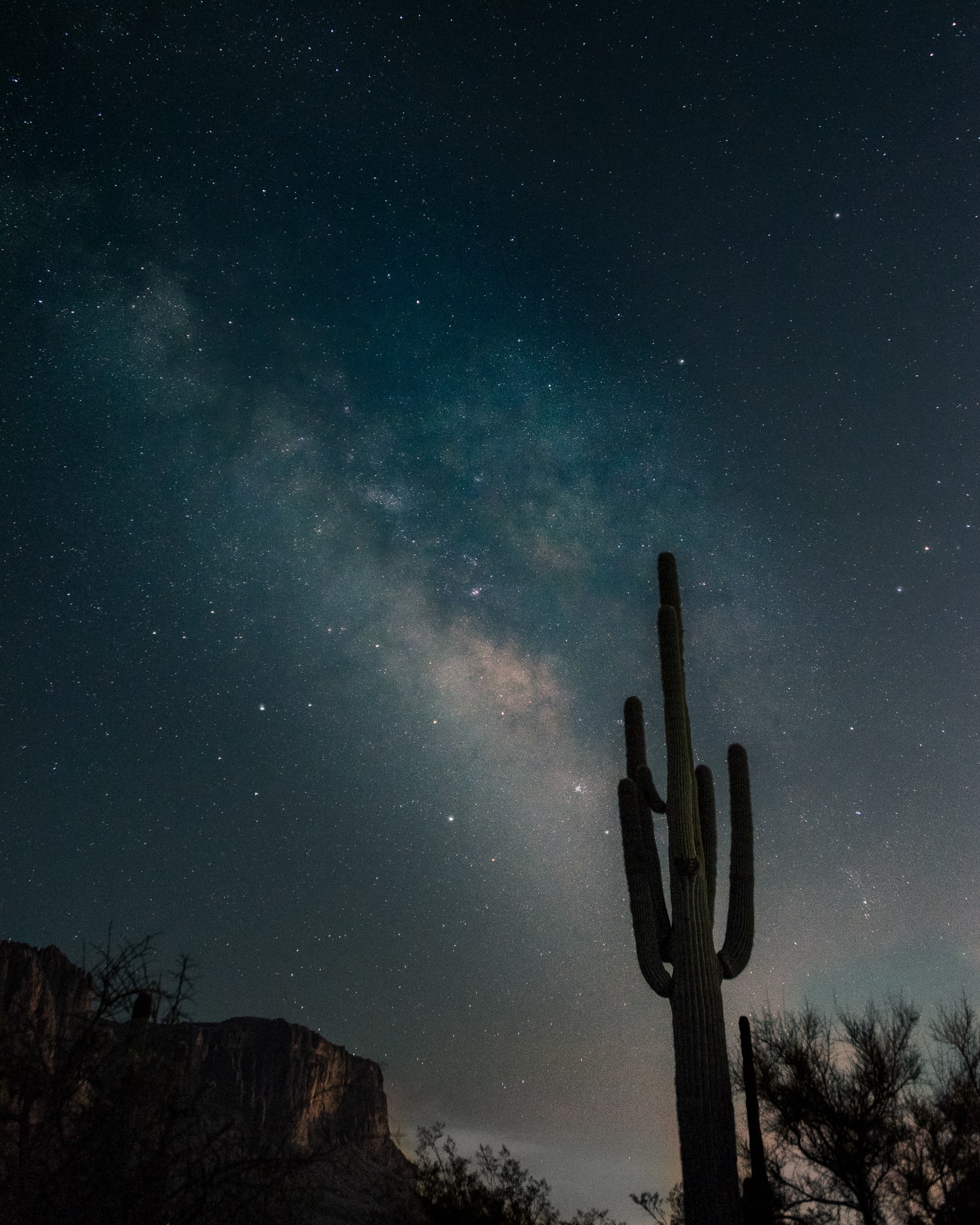 Saguaro Galaxy, Sonoran Desert, Arizona. Fine art landscape photograph by Josh Cihak.