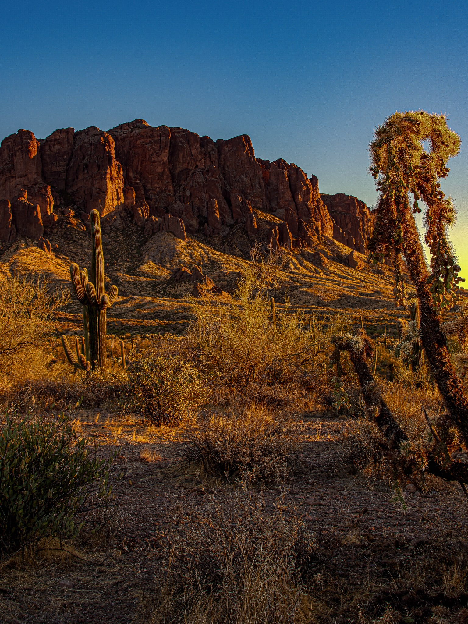 Saguaro Sunset, Sonoran Desert, Arizona. Fine art landscape photograph by Josh Cihak.