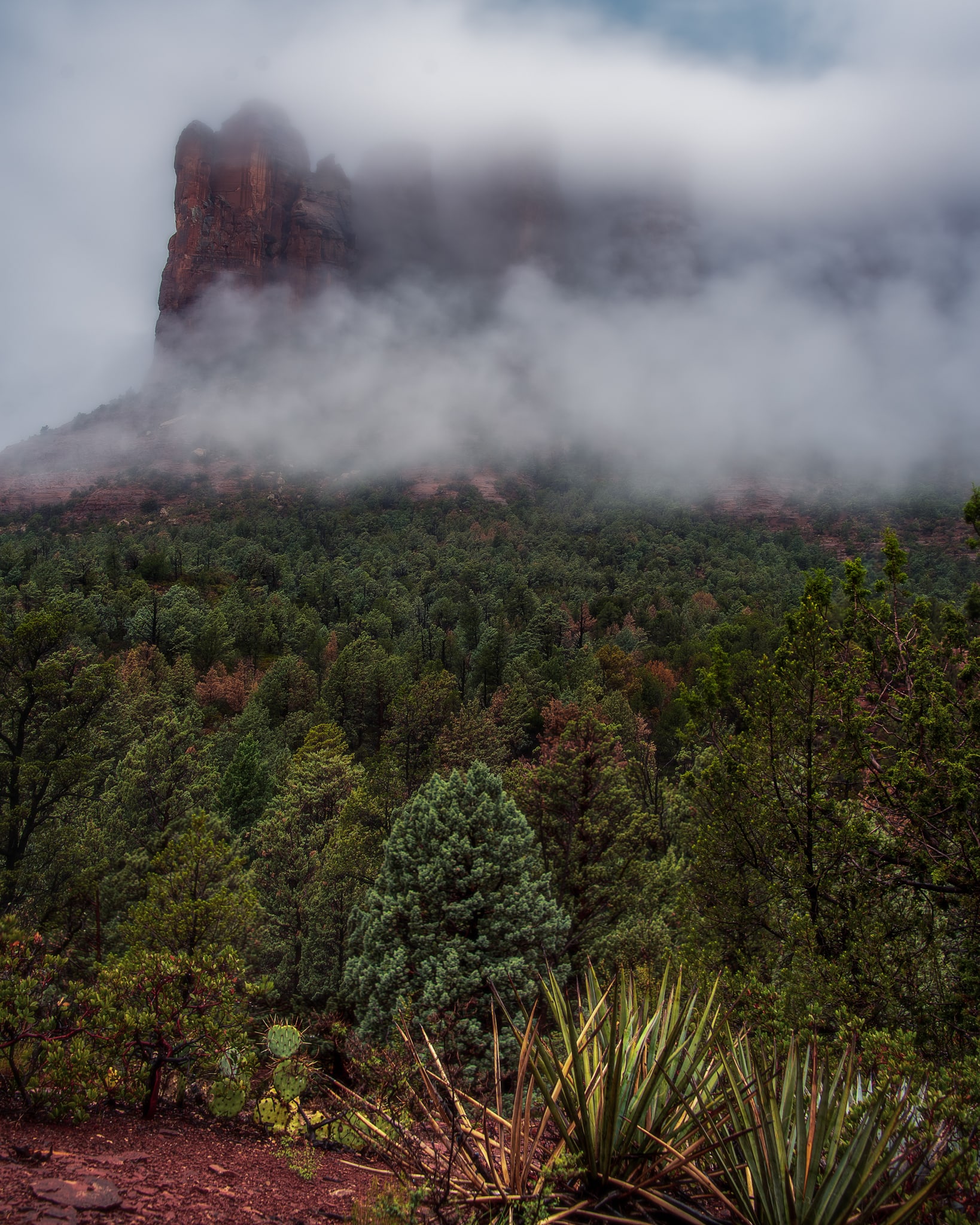 Soldiers Pass, Sedona, Arizona. Fine art landscape photograph by Josh Cihak.