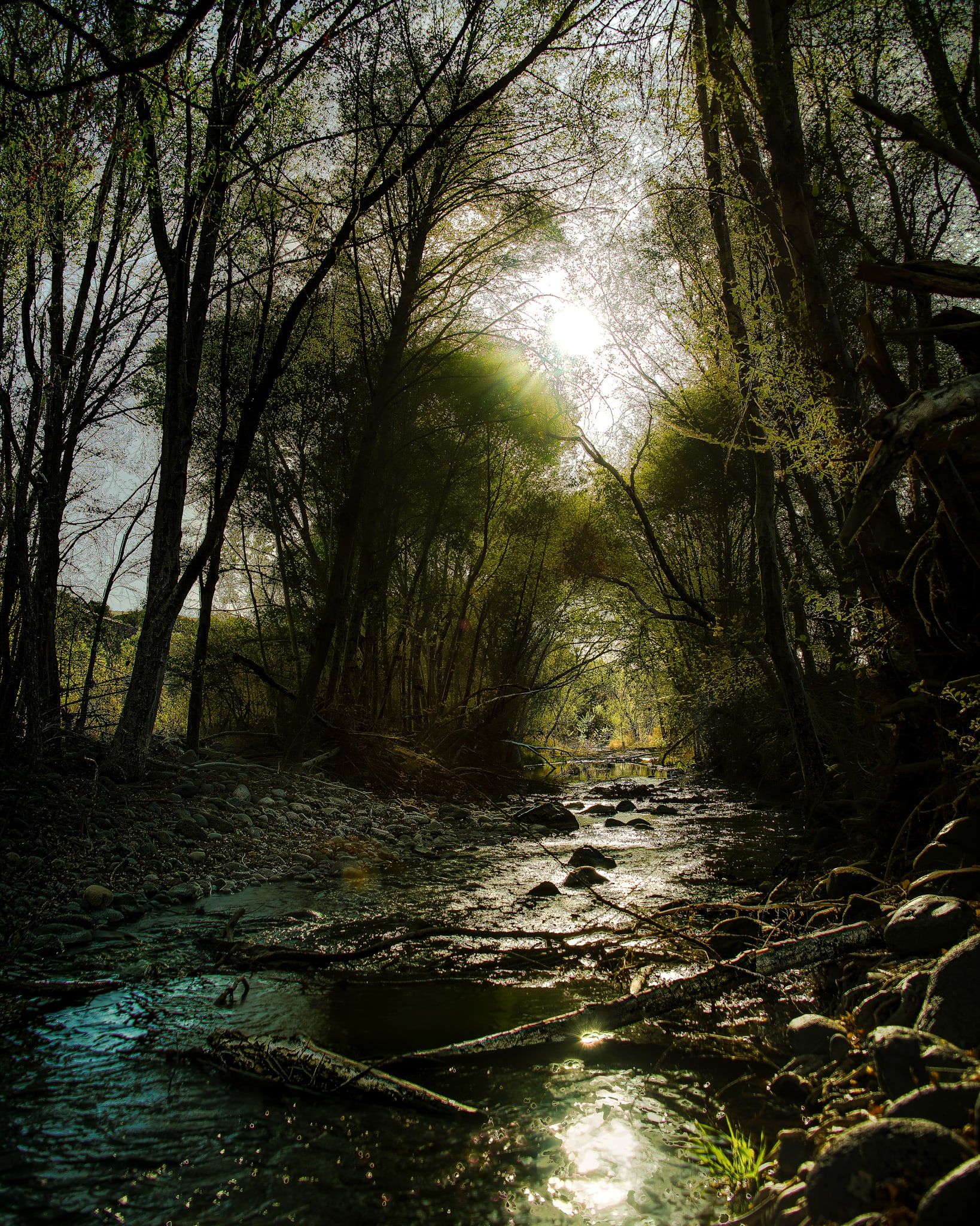 Streamlight, Central Arizona, Arizona. Fine art landscape photograph by Josh Cihak.