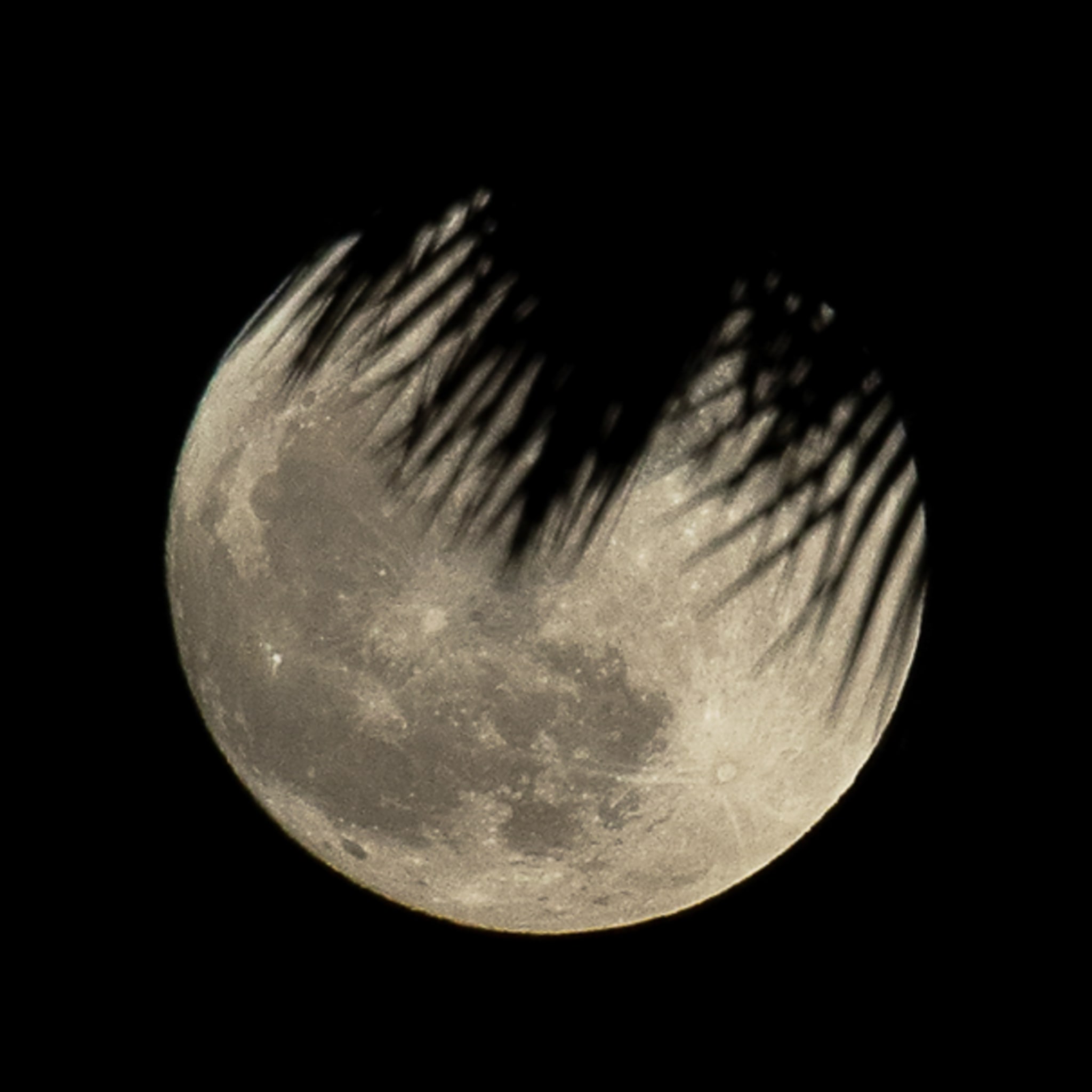 Veiled Moon, Arizona, Arizona. Fine art landscape photograph by Josh Cihak.
